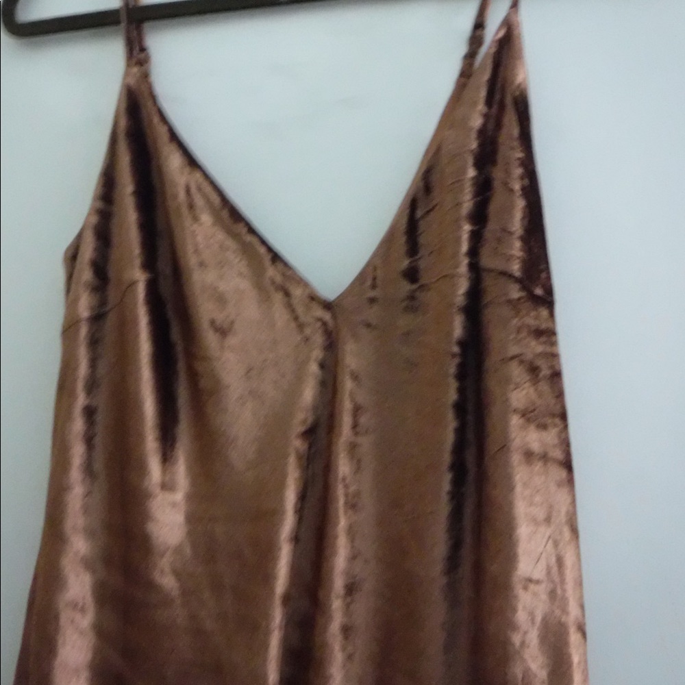 Express Brown Velvet Dress